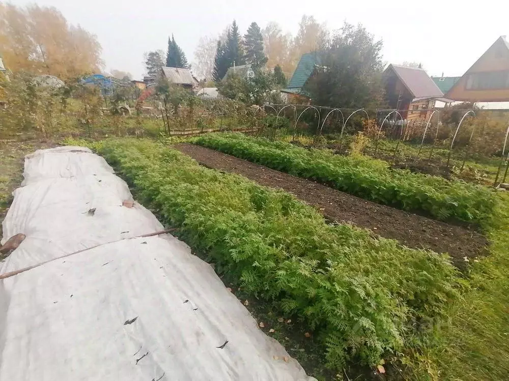 Участок в Кемеровская область, Кемерово  (5.0 сот.) - Фото 2