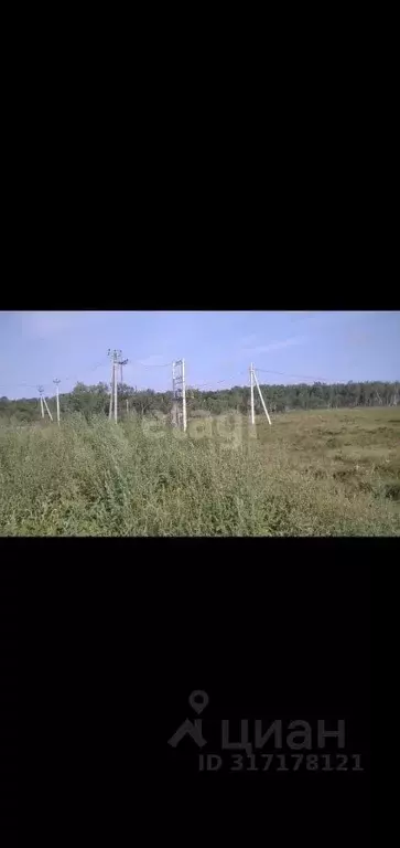 Участок в Амурская область, Благовещенский район, с. Чигири  (15.0 ... - Фото 0