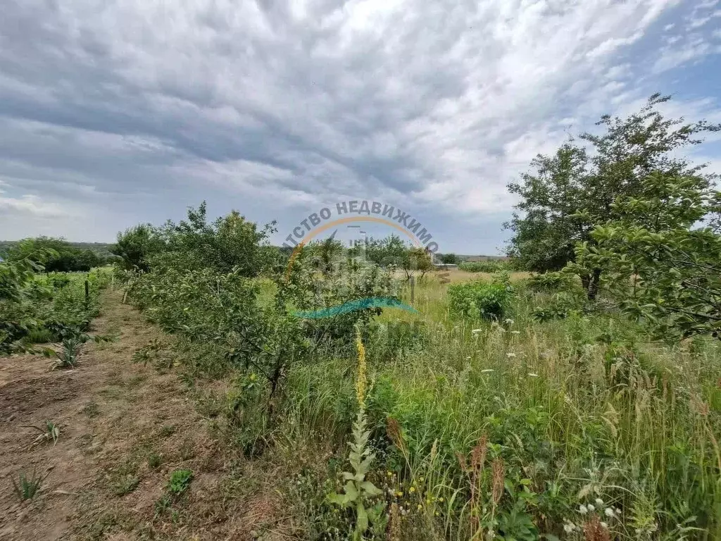 Участок в Краснодарский край, Анапа муниципальный округ, Уташ хут. ул. ... - Фото 1