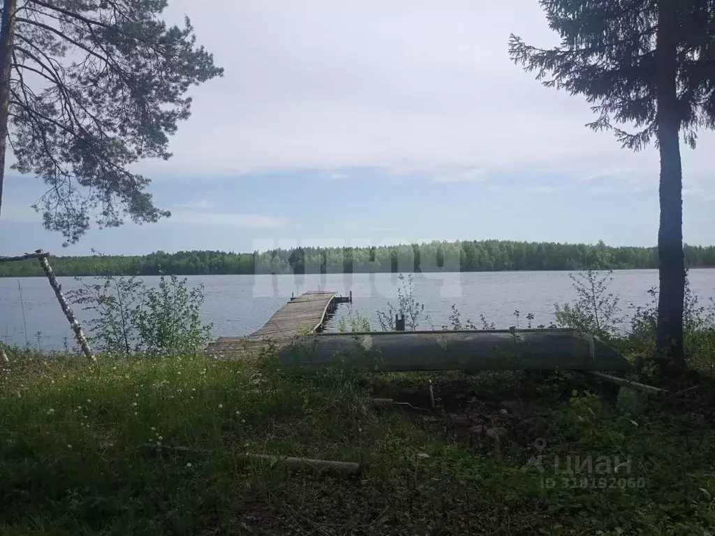 Участок в Вологодская область, Усть-Кубинский муниципальный округ, ... - Фото 0