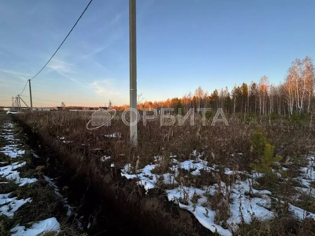 Участок в Тюменская область, Тюменский район, с. Кулига, Кулига-2 мкр  ... - Фото 1