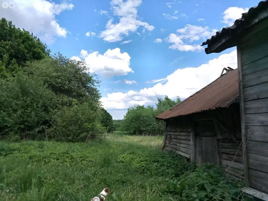 Дом в муниципальное образование Новосельское, деревня Никитино (39.1 ... - Фото 1