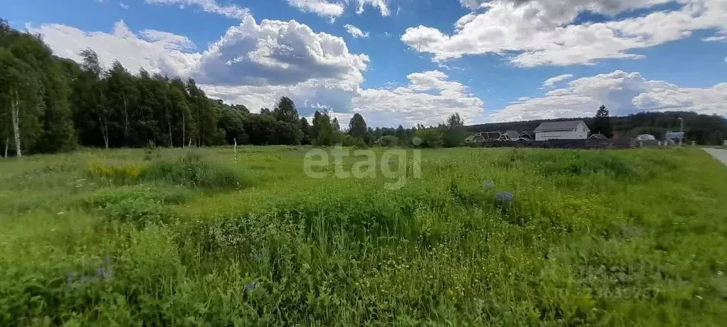 Участок в Владимирская область, Ковровский район, Новосельское с/пос, ... - Фото 2