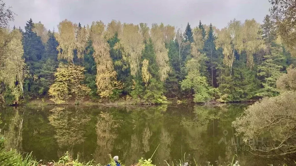 Участок в Московская область, Домодедово городской округ, д. Артемьево ... - Фото 1