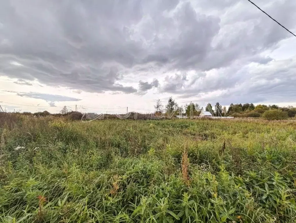 Участок в Тюменская область, Тюмень Большое Царево-1 СНТ,  (10.0 сот.) - Фото 0