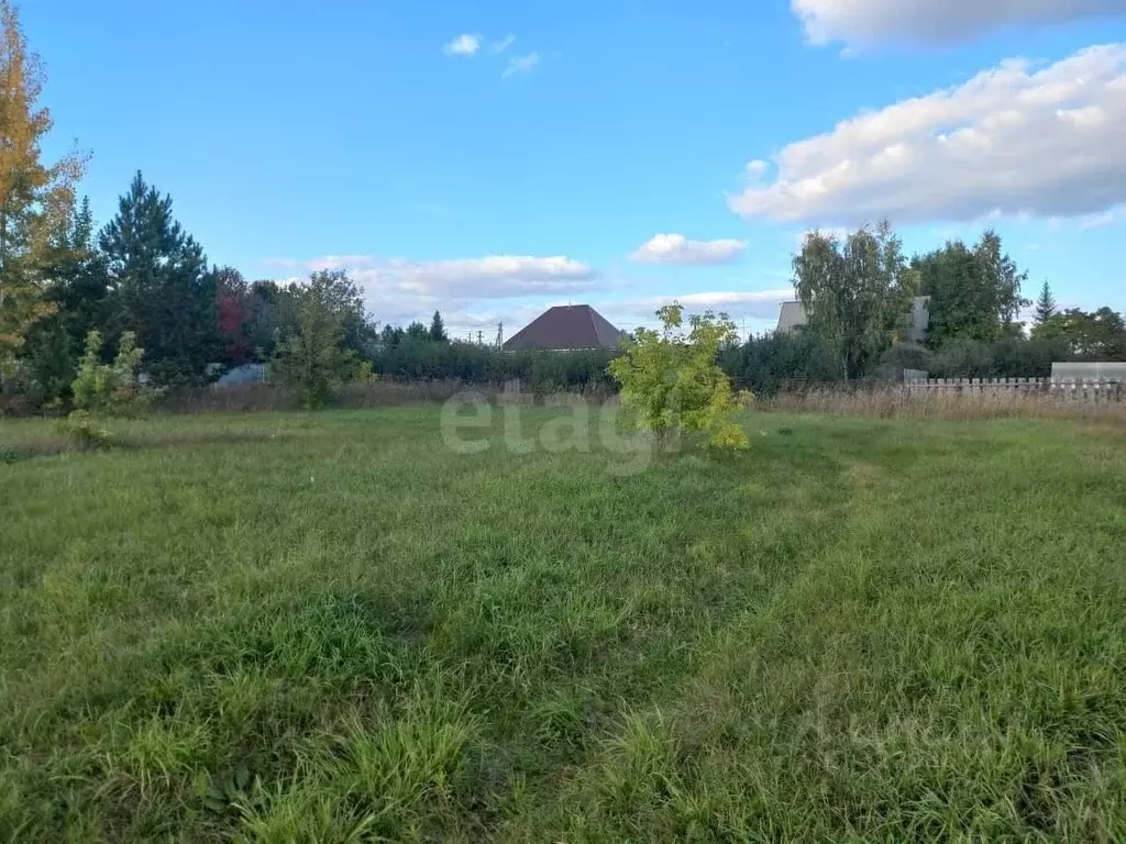 Участок в Новосибирская область, Ордынский район, с. Красный Яр ул. ... - Фото 1