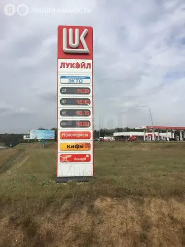 Участок в Рамонский район, Айдаровское сельское поселение, село ... - Фото 1