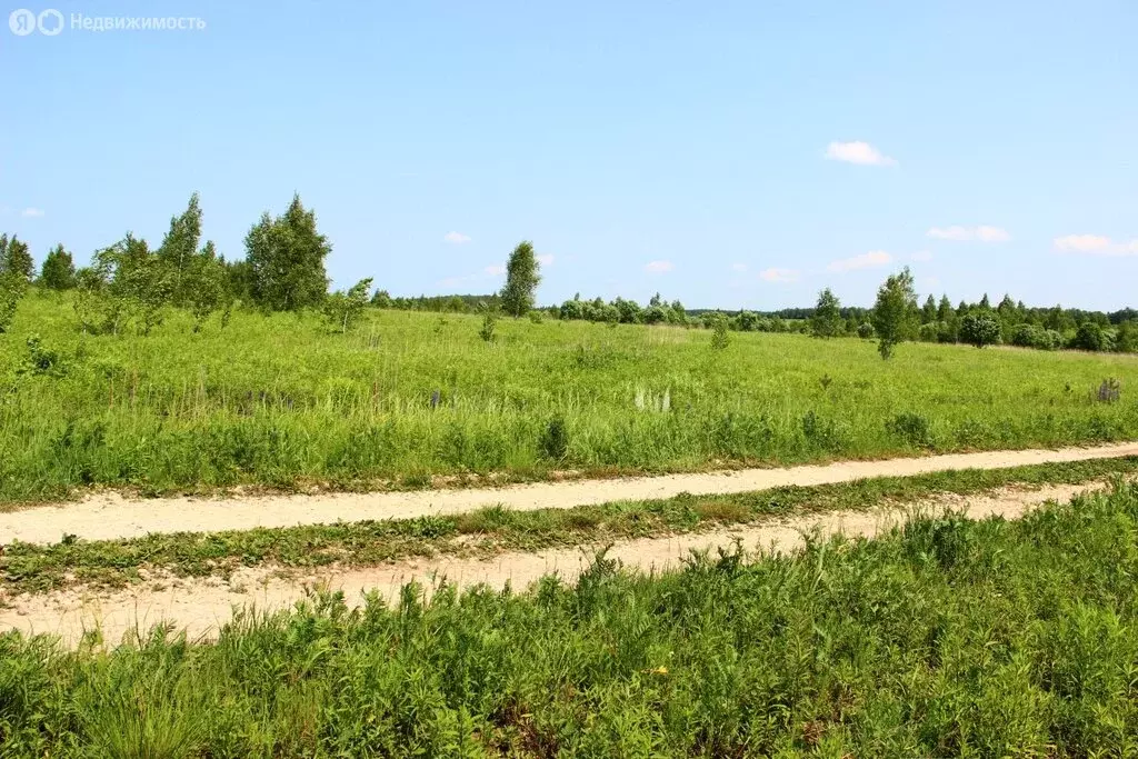 Участок в Заокский район, сельское поселение Демидовское (300 м) - Фото 0