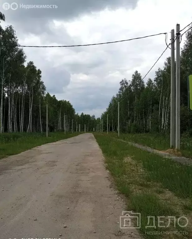 Участок в Спасский район, Панинское сельское поселение, село Ярустово ... - Фото 1