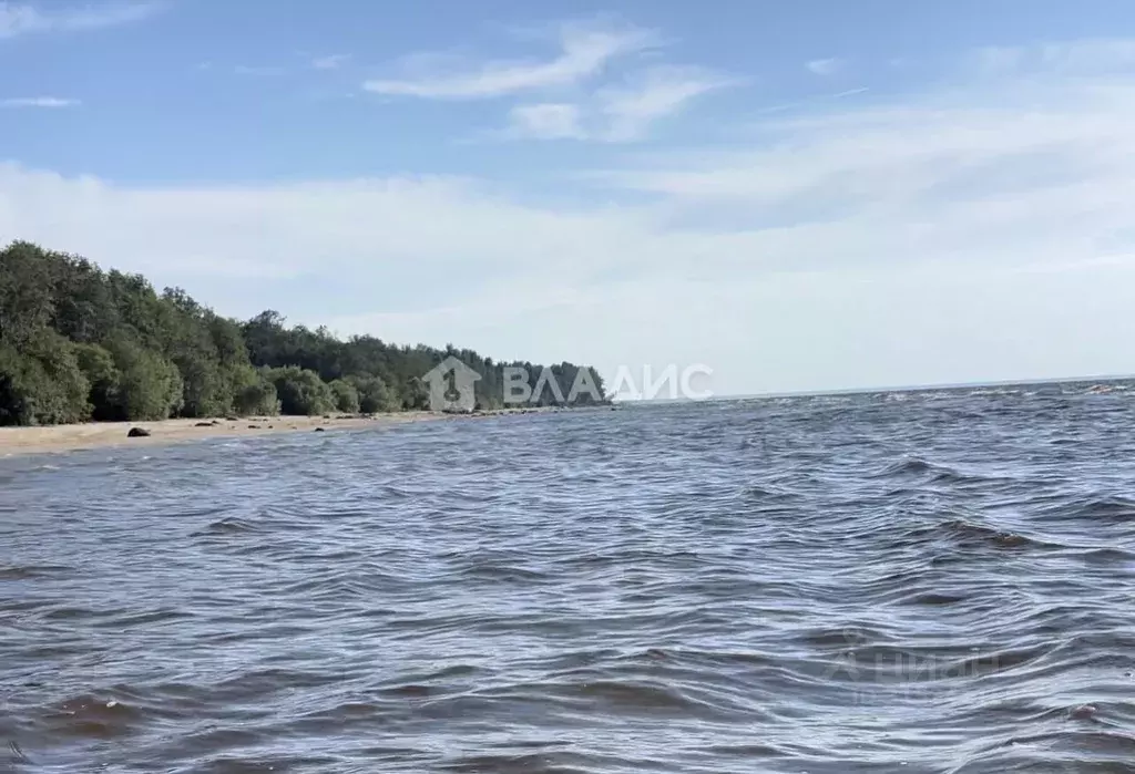 Участок в Ярославская область, Рыбинский муниципальный округ, д. ... - Фото 1