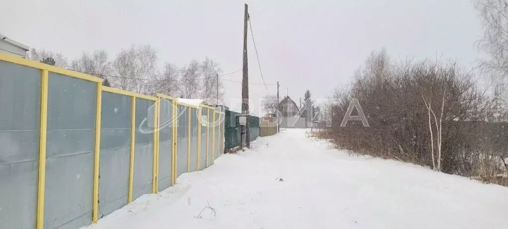 Участок в Тюменская область, Тюмень Автомобилист СНТ, ул. Рябиновая ... - Фото 1