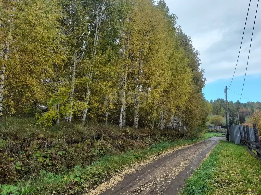 Участок в Алтай, Горно-Алтайск Меркурий садоводческое товарищество,  ... - Фото 1