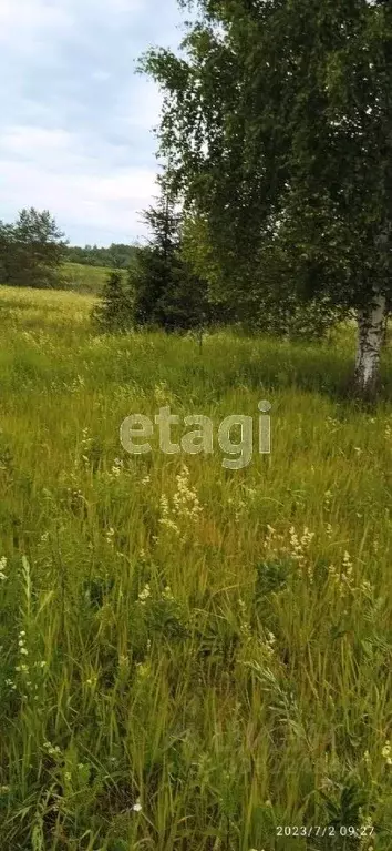 Участок в Вологодская область, Дубрава садоводческое товарищество 69 ... - Фото 0