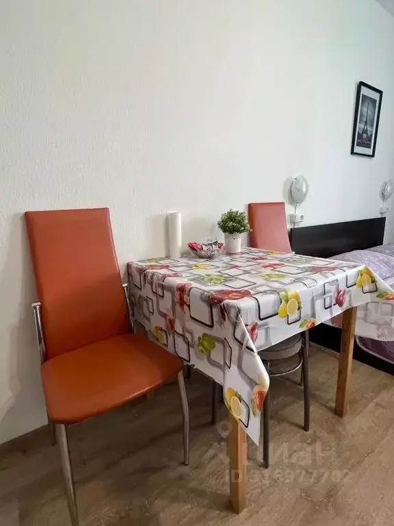 Студия Санкт-Петербург просп. Энергетиков, 11к5 (27.0 м) - Фото 1
