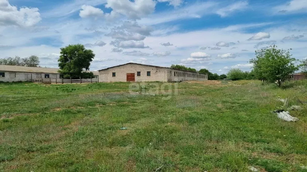 Помещение свободного назначения в Волгоградская область, Даниловка рп, ... - Фото 2