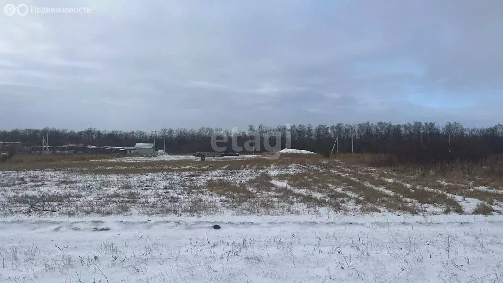 Участок в Старый Оскол, Морозная улица (15 м) - Фото 1