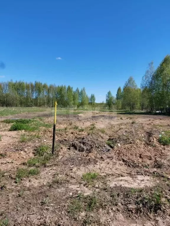 Участок в Костромская область, Кострома Мебельщик садоводческое ... - Фото 2