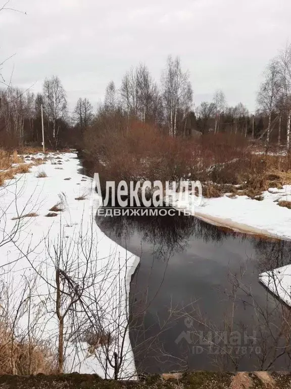 Участок в Ленинградская область, Выборгский район, Гончаровское с/пос, ... - Фото 2