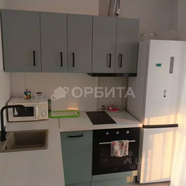 1-к кв. Тюменская область, Тюмень ул. Надира Сагдеева, 6 (29.0 м) - Фото 1