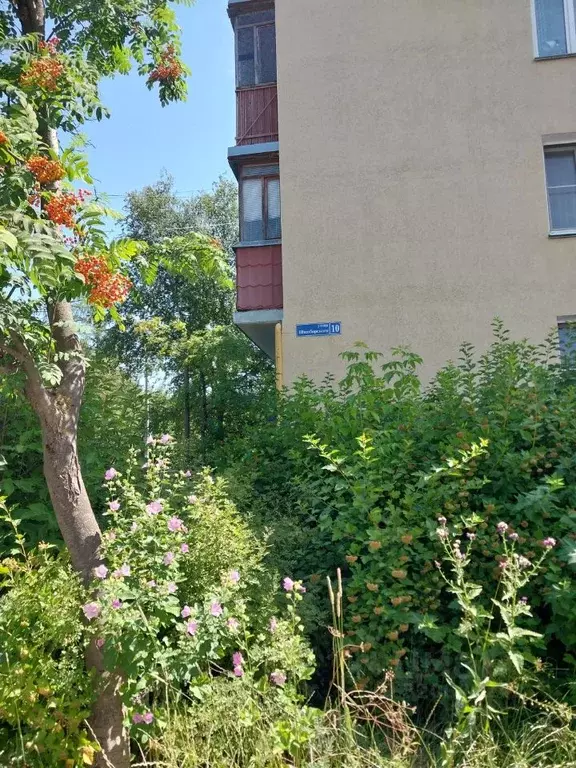 1-к кв. Нижегородская область, Нижний Новгород ул. Шимборского, 10 ... - Фото 0