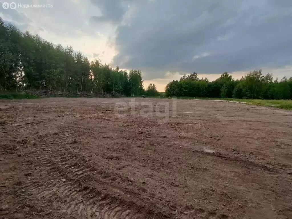 Участок в Ярославский муниципальный округ, село Еремеевское, переулок ... - Фото 1