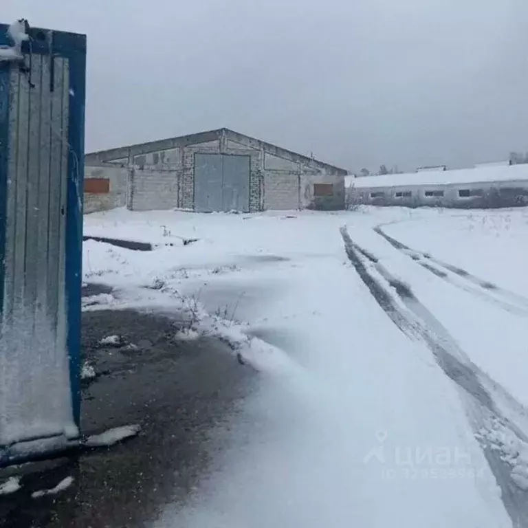 Склад в Московская область, Клин городской округ, пос. ПМК-8 8А (3600 ... - Фото 1