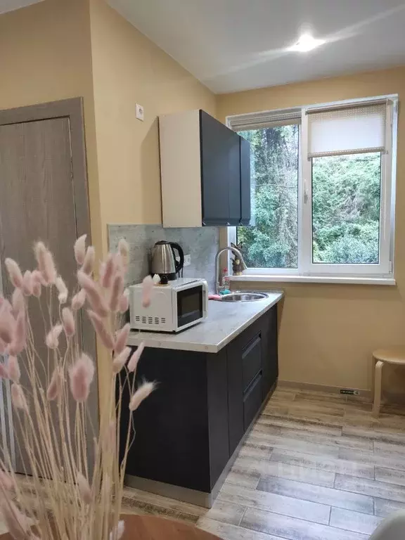 1-к кв. Краснодарский край, Сочи Сухумское ш., 29Б (26.0 м) - Фото 1