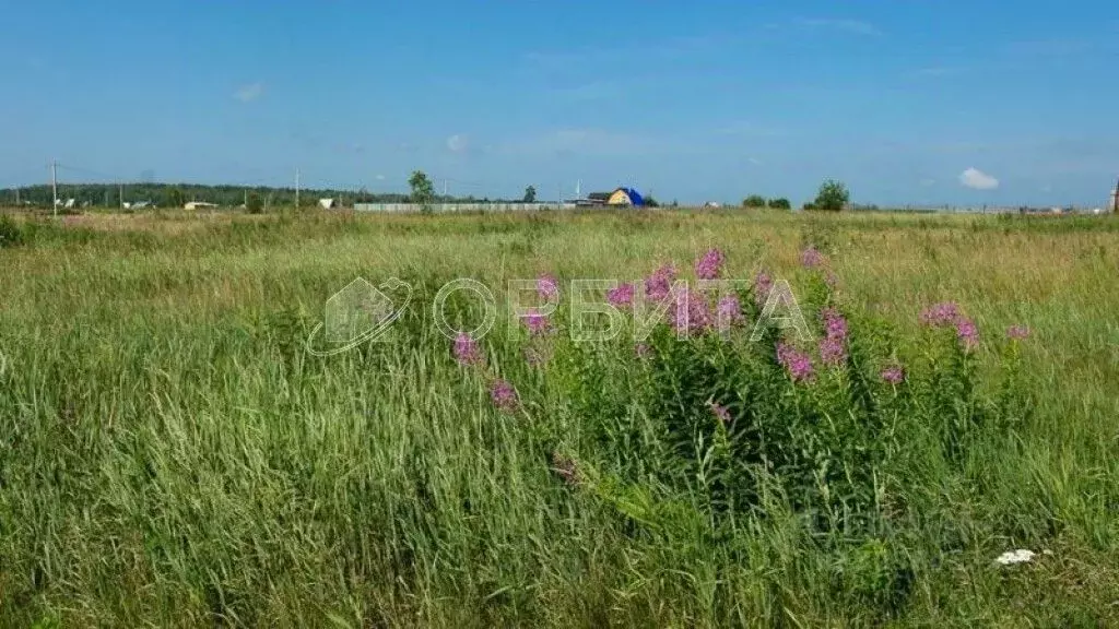 Участок в Тюменская область, Нижнетавдинский муниципальный округ, ... - Фото 2