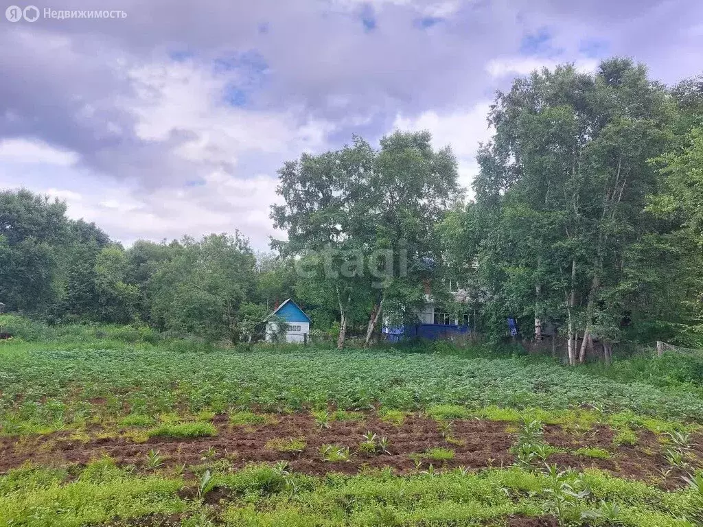 Участок в Новоавачинское сельское поселение, СНТ Меркурий (6 м) - Фото 1