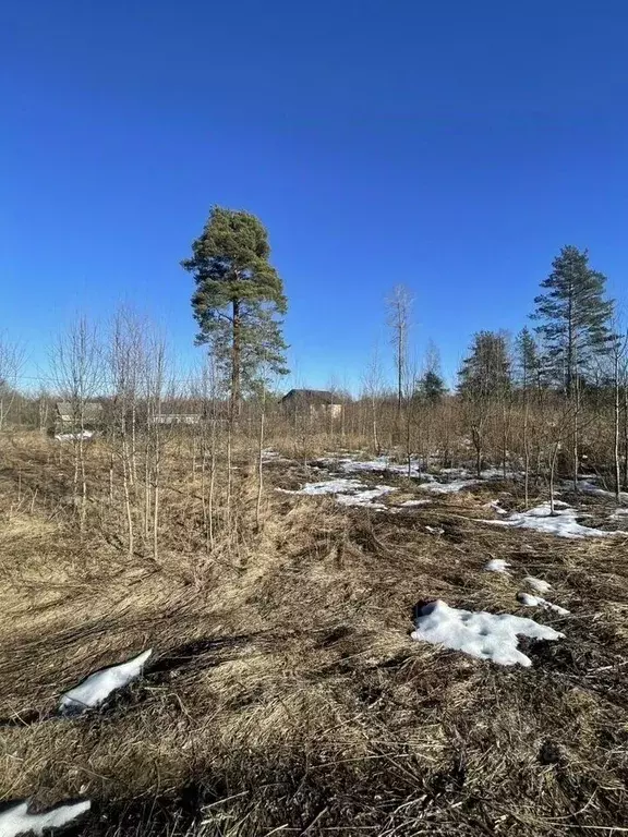 Участок в Ленинградская область, Выборг ул. 4-я Былинная (10.0 сот.) - Фото 1