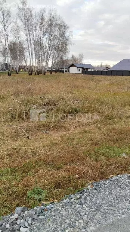 Участок в Новосибирский район, Верх-Тулинский сельсовет, ... - Фото 0