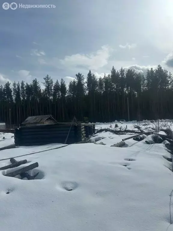 Участок в посёлок городского типа Краснозатонский, Ромашковая улица, 7 ... - Фото 0