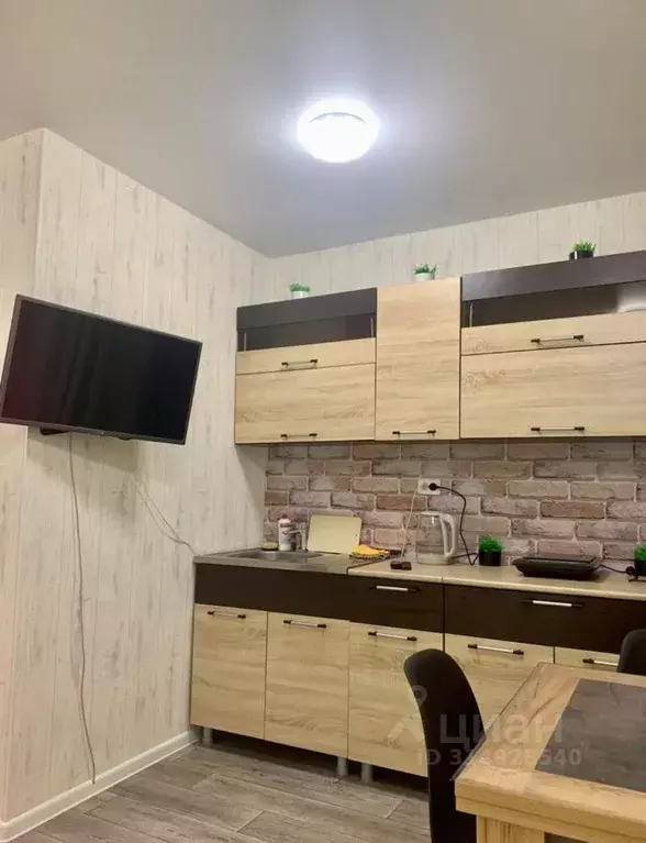 Студия Забайкальский край, Чита ул. Кастринская, 6 (32.0 м) - Фото 1