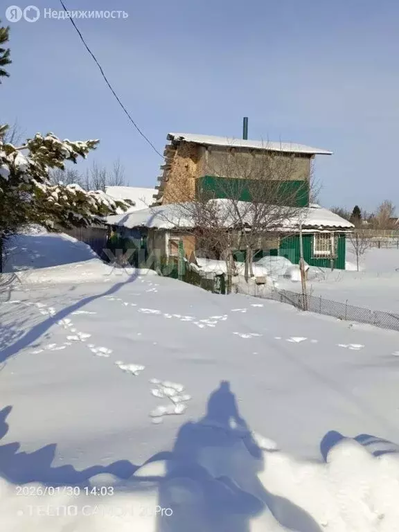 Дом в Барнаул, проспект Ленина, 58 (50 м) - Фото 2