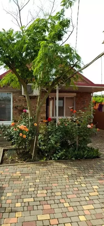Дом в Крым, Феодосия ул. 1 Мая, 42 (65 м) - Фото 1