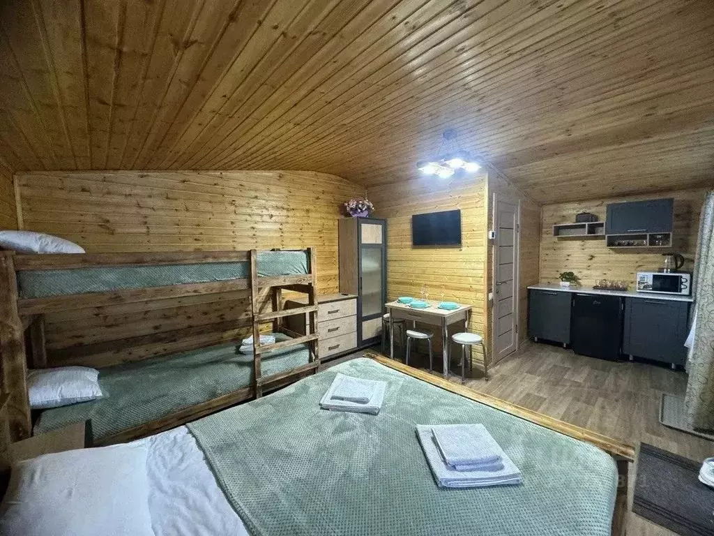 Дом в Карачаево-Черкесия, Зеленчукский район, с. Архыз  (24 м) - Фото 2