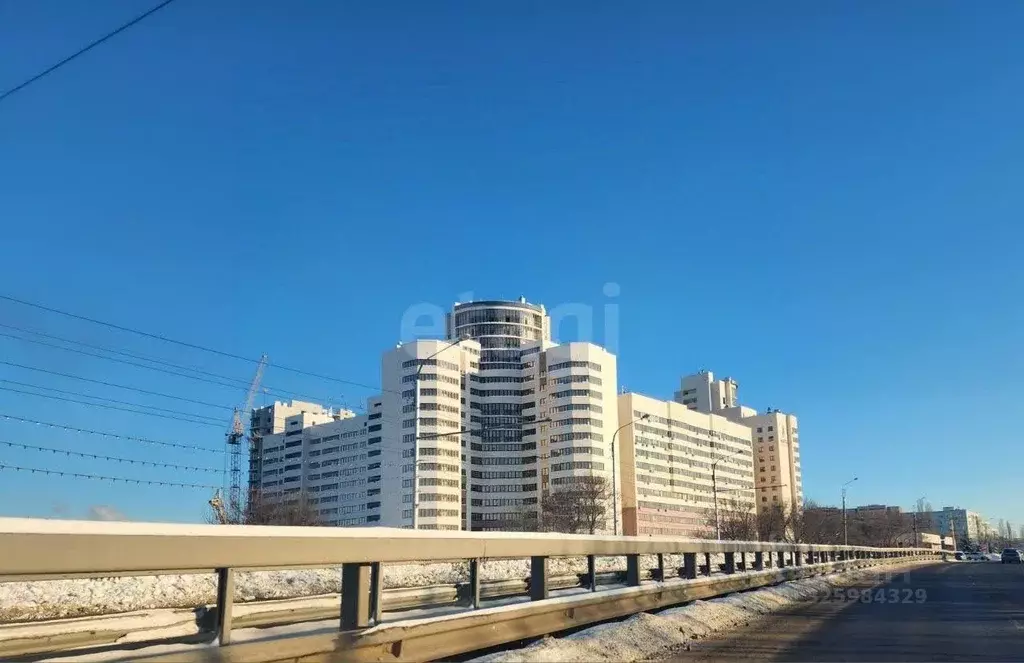 Торговая площадь в Пензенская область, Пенза ул. 8 Марта, 31к3 (40 м) - Фото 2