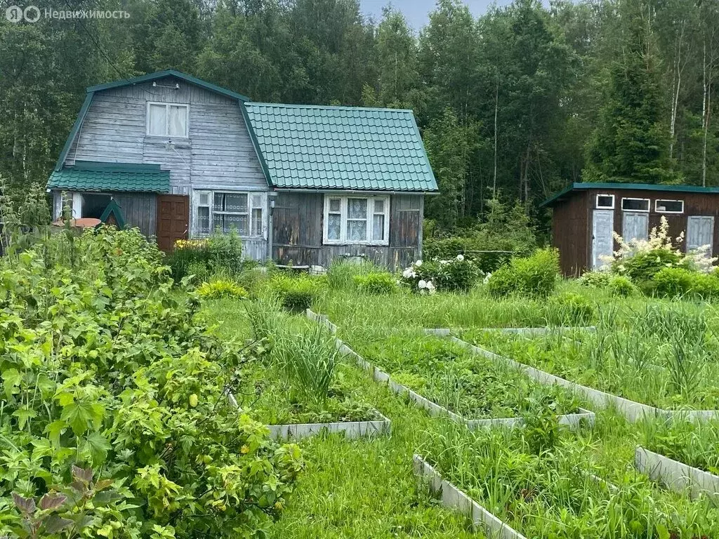 Дом в городской округ Владимир, деревня Бухолово, 253 (48 м) - Фото 0