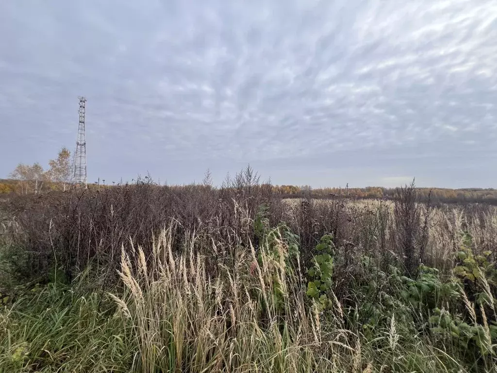 Участок в Ярославская область, Переславль-Залесский муниципальный ... - Фото 1
