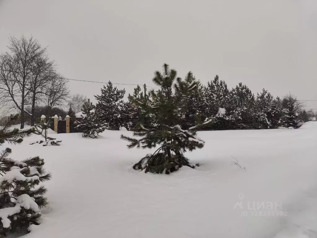 Участок в Московская область, Щелково городской округ, д. Новофрязино  ... - Фото 1