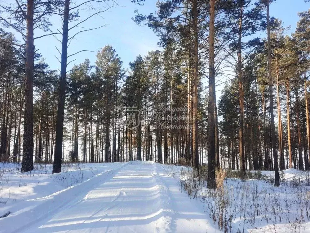 Участок в Иркутская область, Иркутский муниципальный округ, Лесное ДНП ... - Фото 2
