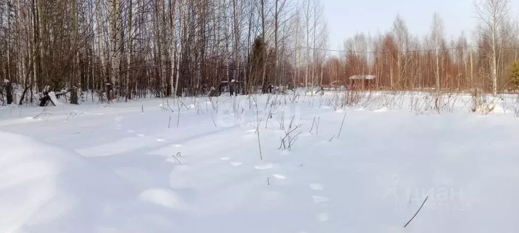 Участок в Ханты-Мансийский АО, Ханты-Мансийск Таволожное урочище,  ... - Фото 0