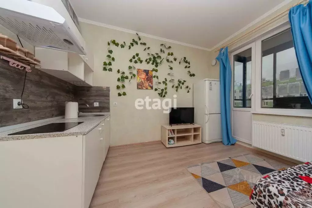 Студия Ленинградская область, Всеволожский район, Заневское городское ... - Фото 1