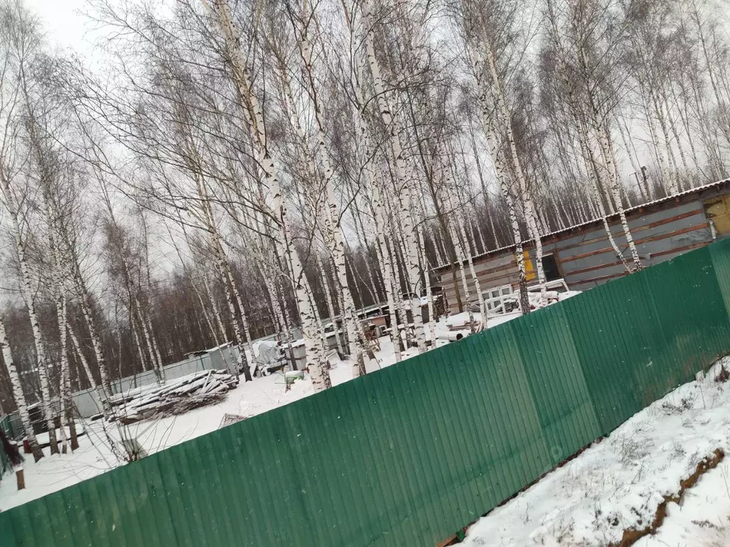 Участок в Московская область, Раменское Дергаево-2 кп, ул. Ореховая ... - Фото 2