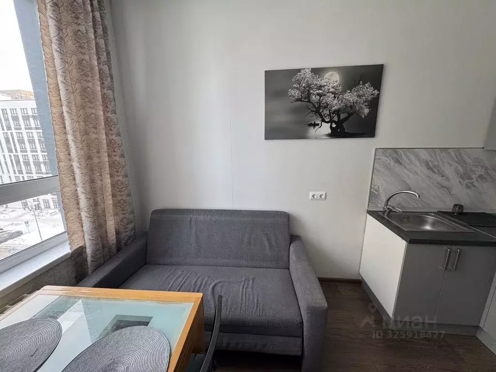 Студия Москва бул. Скандинавский, 4к1 (30.0 м) - Фото 2