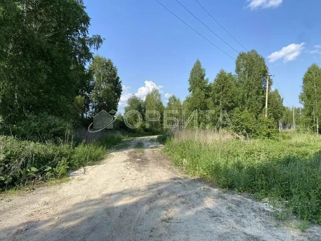 Участок в Тюменская область, Нижнетавдинский район, Тюневское с/пос, ... - Фото 1
