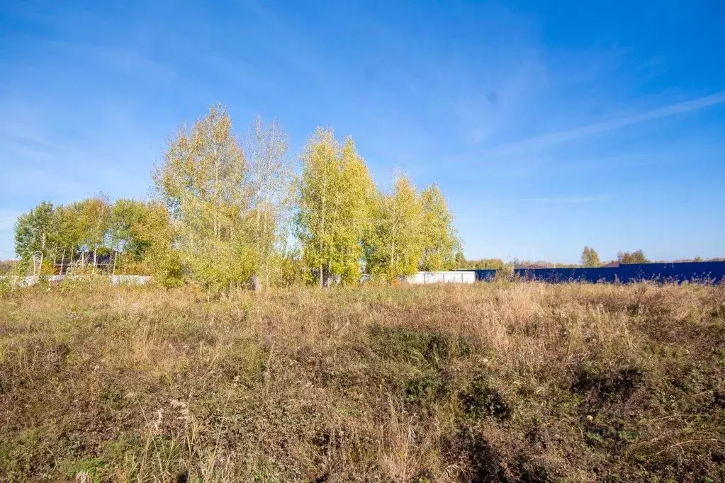 Участок в Тюменская область, Тюменский муниципальный округ, с. ... - Фото 1