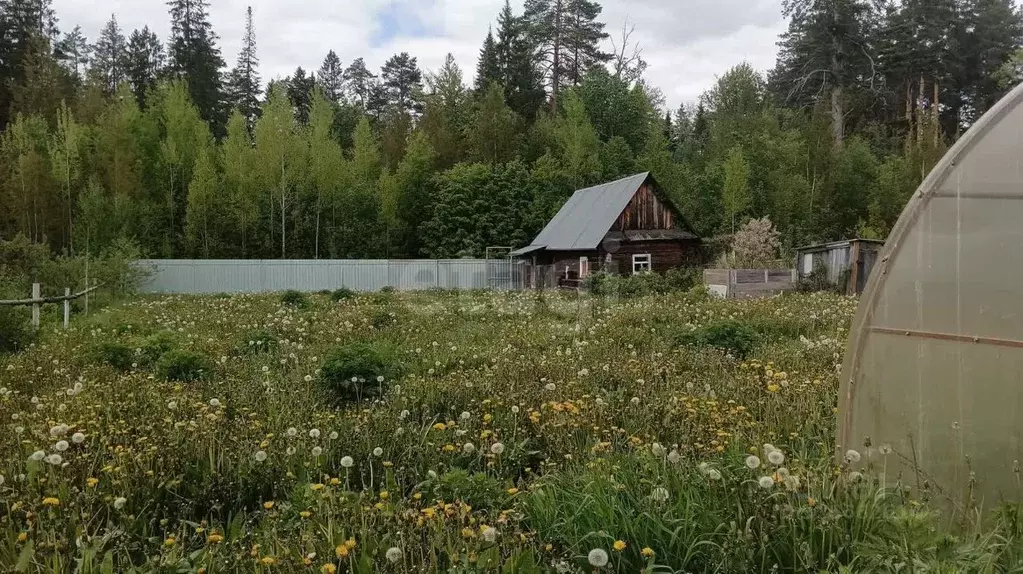 Участок в Марий Эл, Медведевский район, Сидоровское с/пос, ... - Фото 0