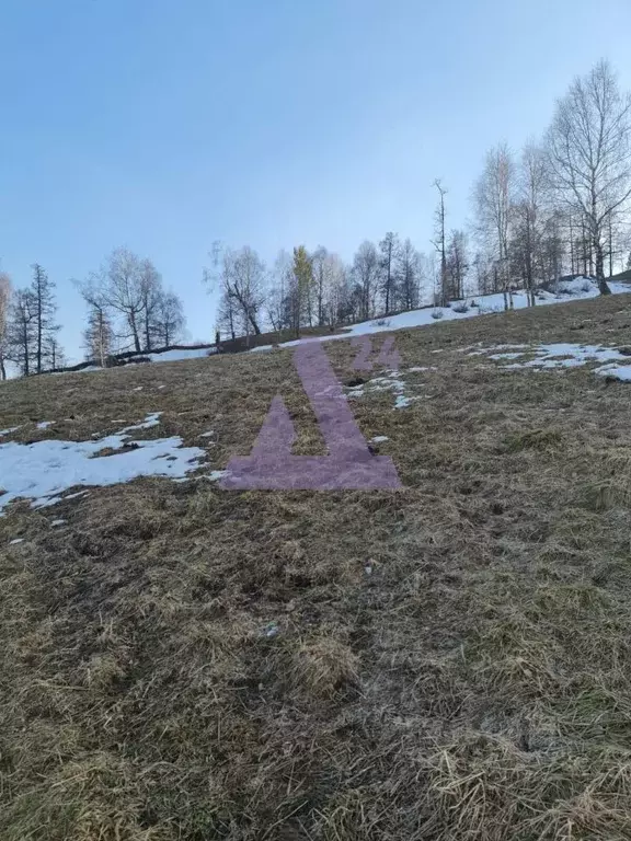 Участок в Алтайский край, Белокуриха Новый пер. (100.77 сот.) - Фото 0