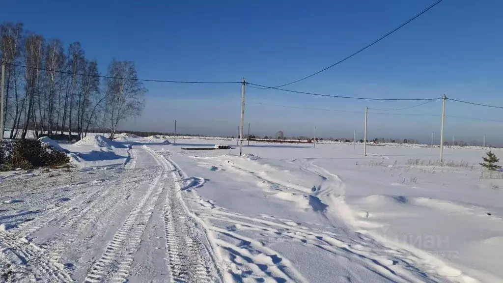 Участок в Алтайский край, Первомайский район, с. Фирсово, Березовый ... - Фото 0